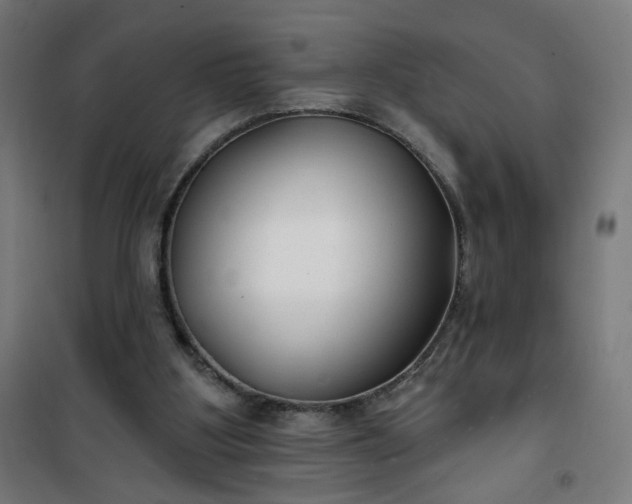 X0000100750107200807031345