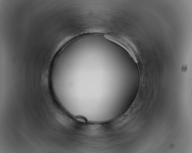 X0000100750108200807031345