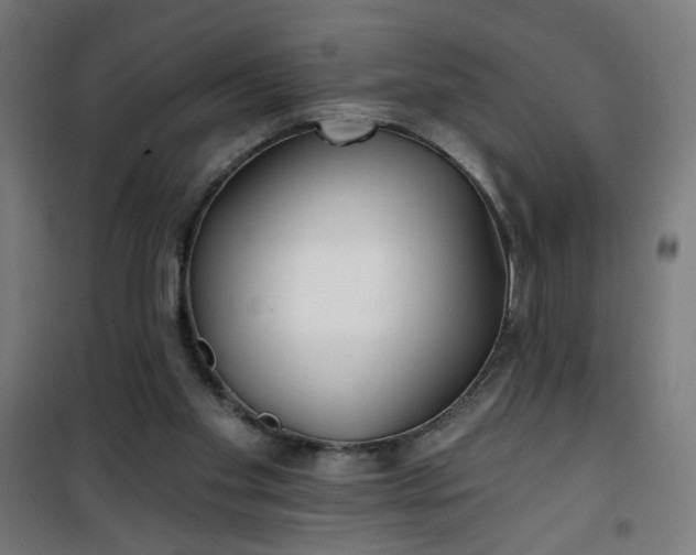 X0000100750109200807031345