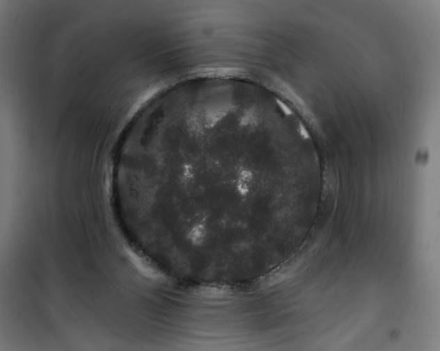 X0000100750110200807031345