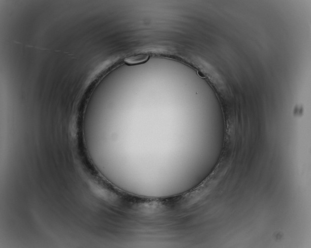 X0000100750112200807031345