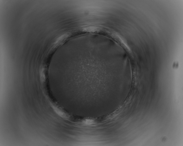 X0000100750114200807031345