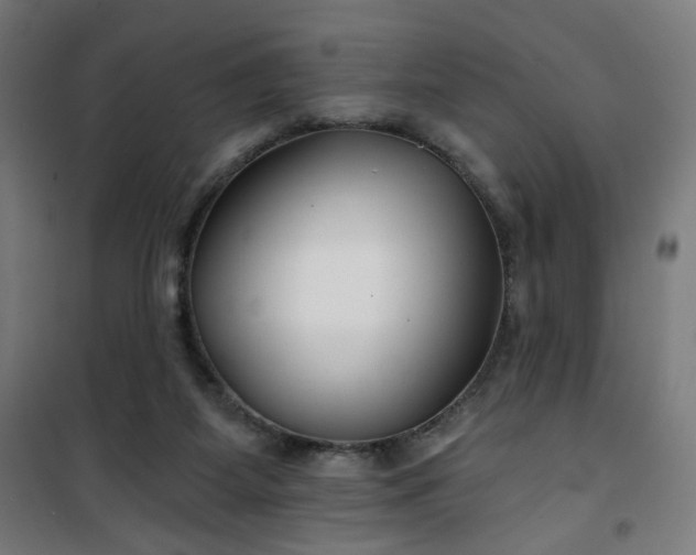 X0000100750115200807031345