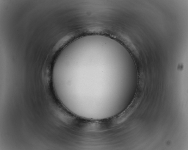 X0000100750116200807031345