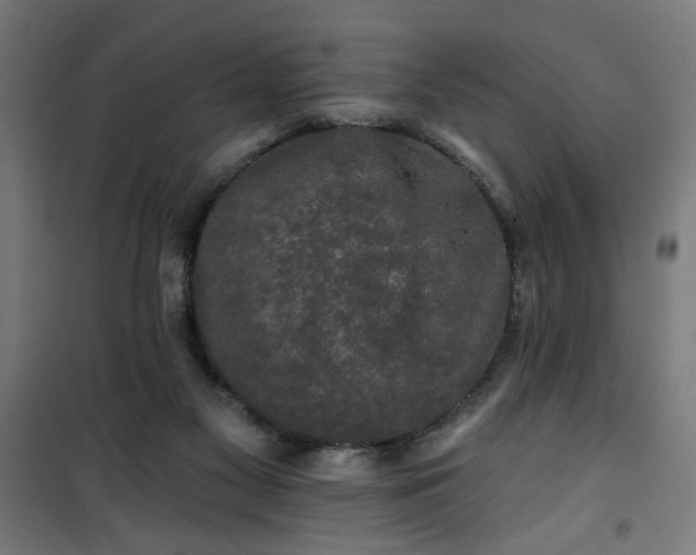 X0000100750117200807031345