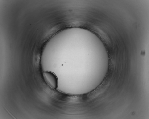 X0000100750118200807031345