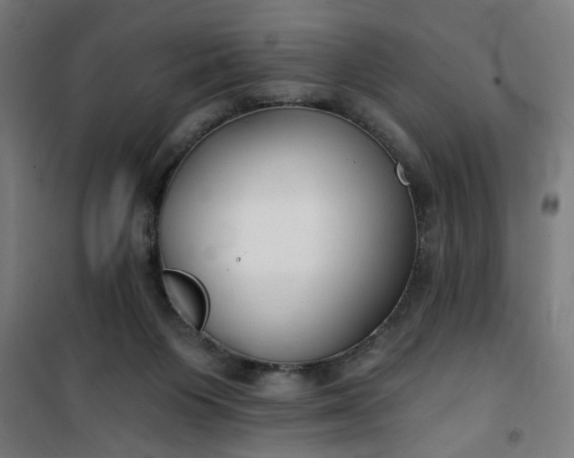 X0000100750119200807031345