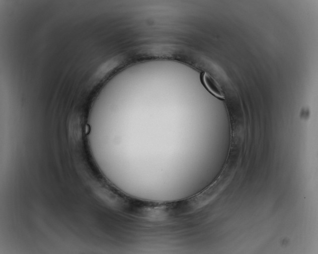 X0000100750120200807031345