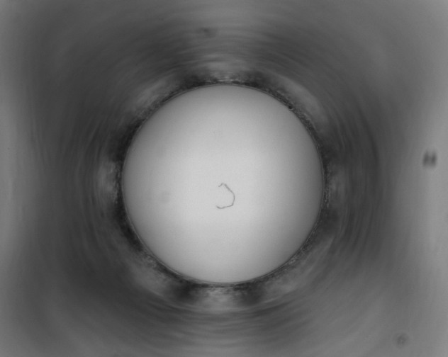 X0000100750121200807031345