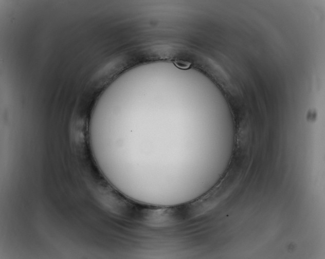 X0000100750122200807031345