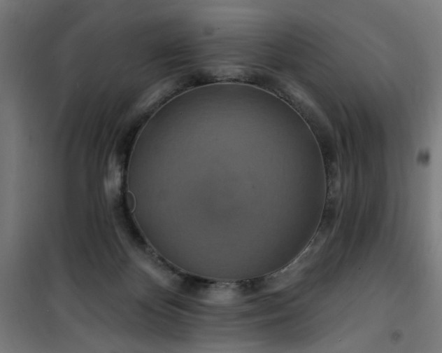 X0000100750124200807031345