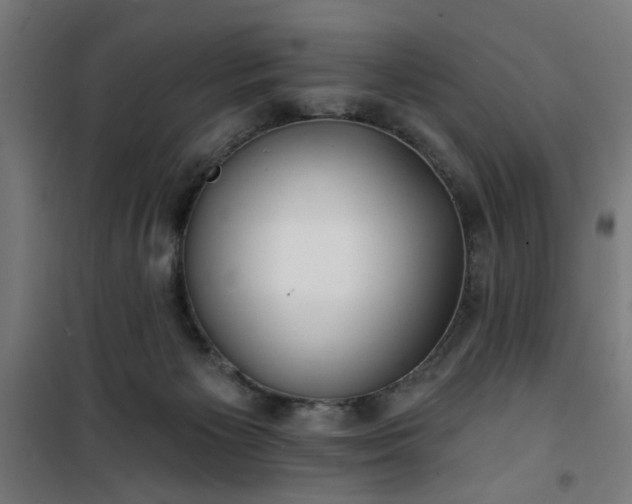 X0000100750125200807031345