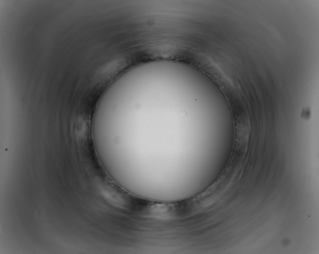 X0000100750126200807031345