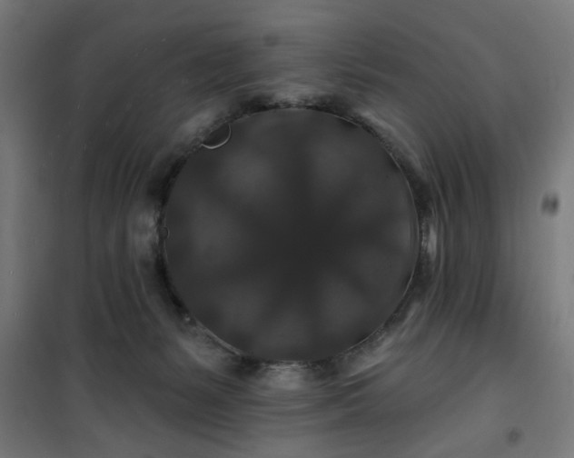 X0000100750127200807031345