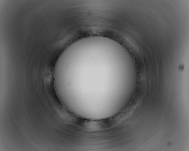 X0000100750129200807031345