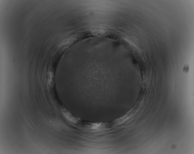 X0000100750130200807031345