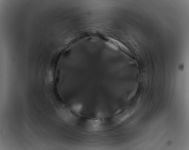 X0000100750131200807031345