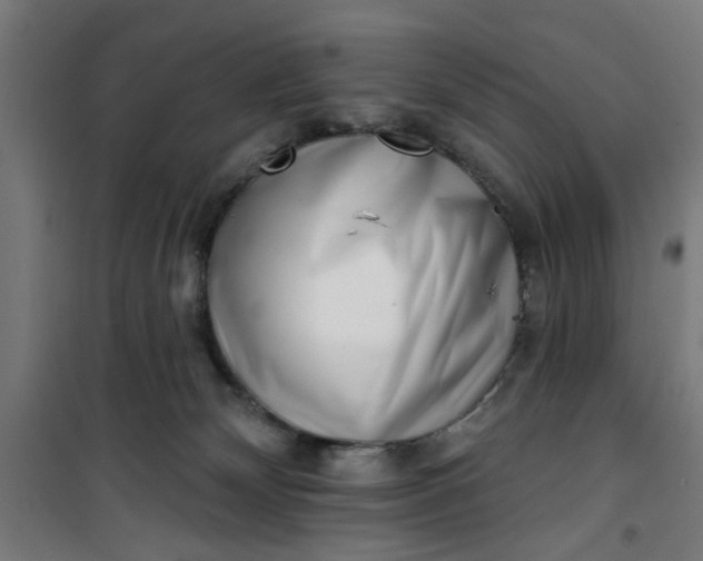 X0000100750132200807031345