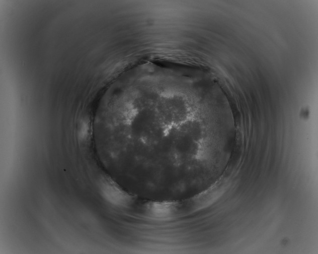 X0000100750134200807031345