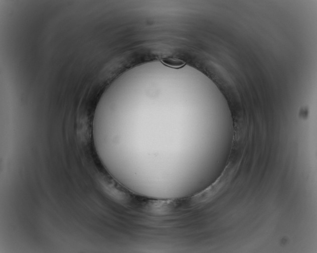 X0000100750136200807031345