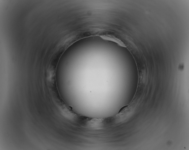 X0000100750138200807031345