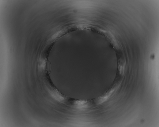 X0000100750139200807031345