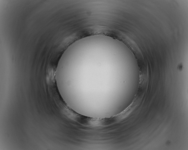 X0000100750142200807031345