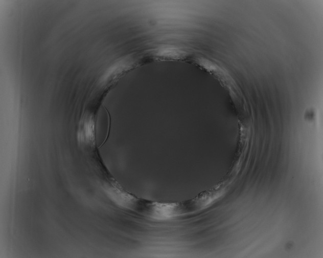 X0000100750143200807031345