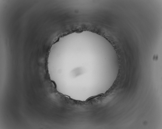 X0000100750144200807031345