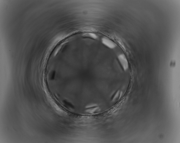 X0000100750145200807031344