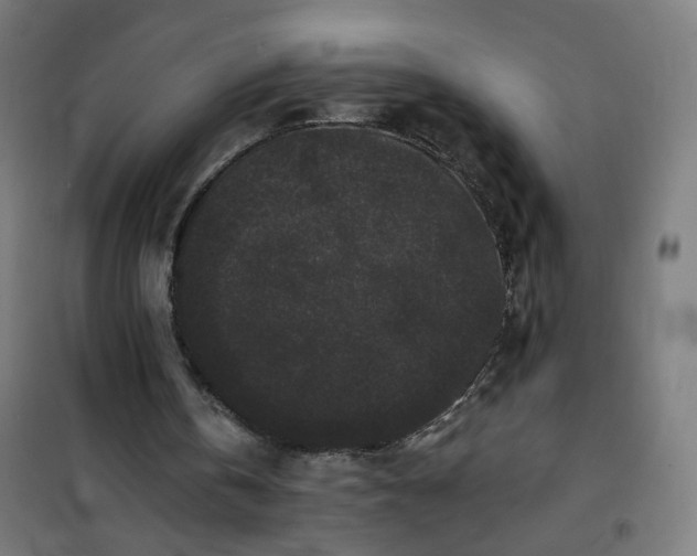 X0000100750146200807031344