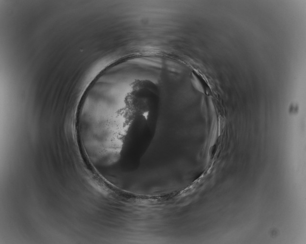 X0000100750147200807031344