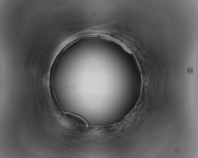 X0000100750148200807031344