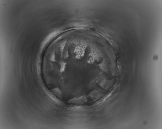 X0000100750149200807031344