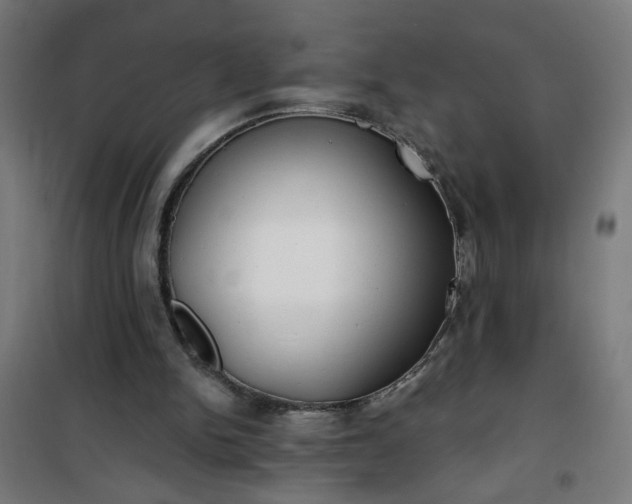 X0000100750150200807031344