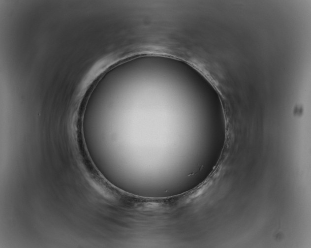 X0000100750151200807031344