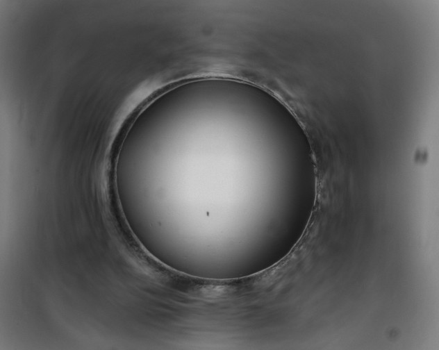 X0000100750152200807031344