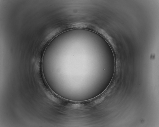 X0000100750153200807031344