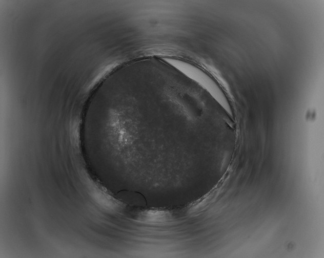 X0000100750154200807031344