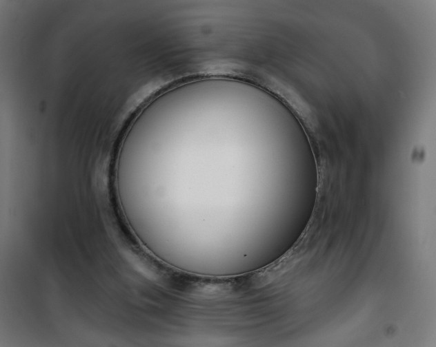 X0000100750155200807031344