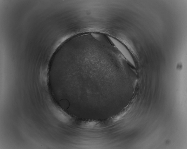 X0000100750156200807031344