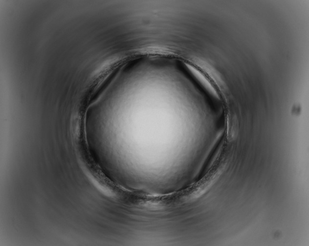 X0000100750157200807031344