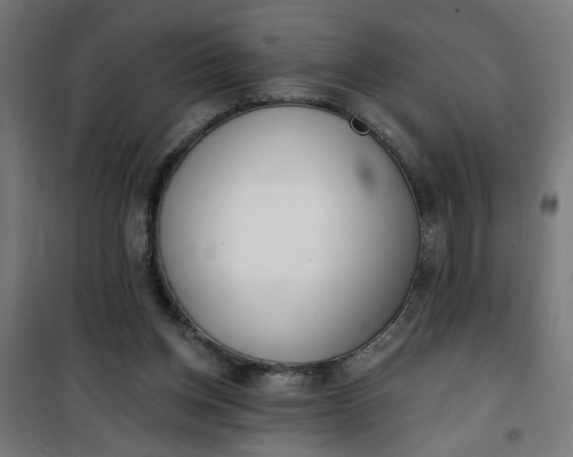 X0000100750158200807031344