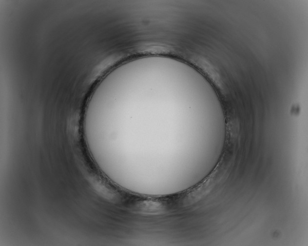 X0000100750159200807031344