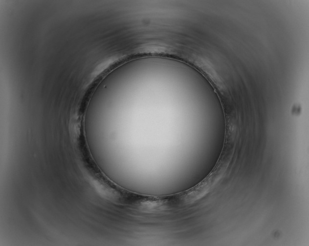 X0000100750160200807031344