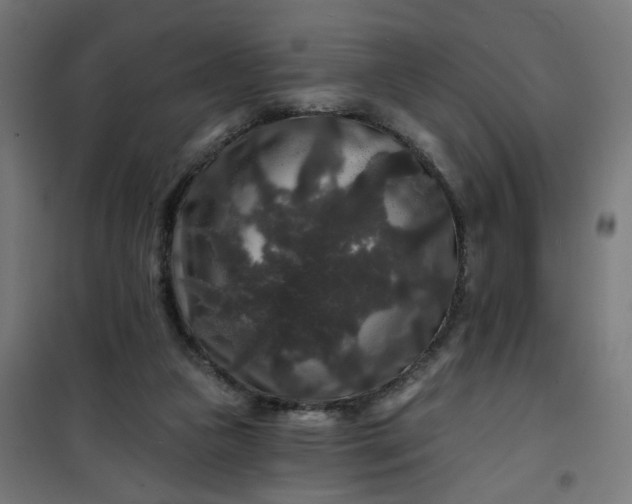 X0000100750161200807031344