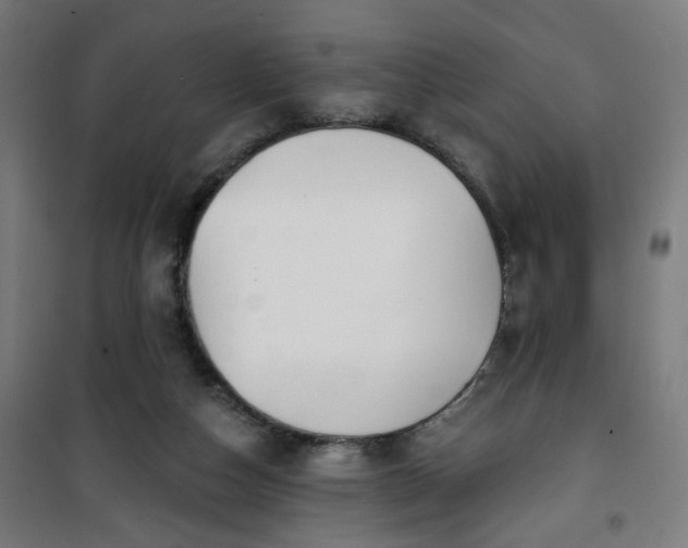 X0000100750162200807031344