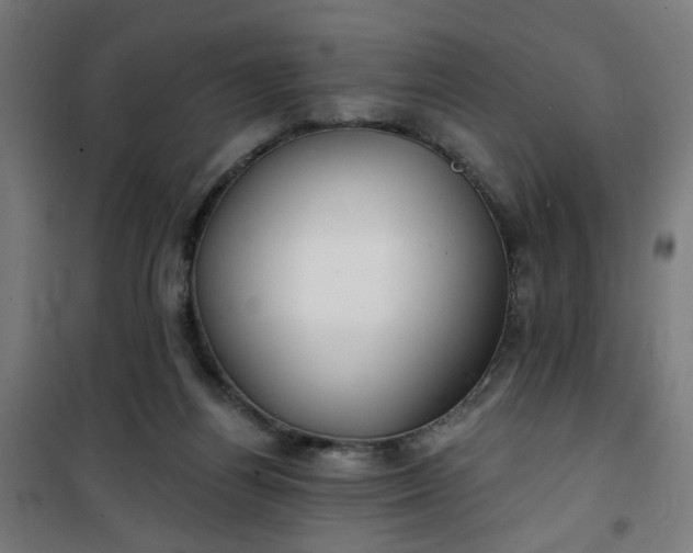 X0000100750164200807031344