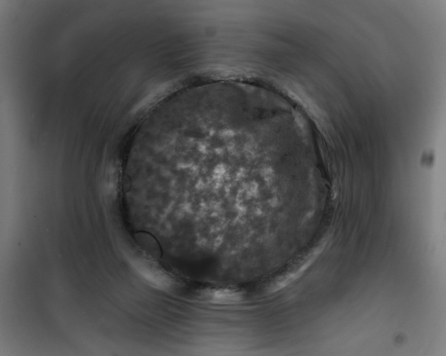 X0000100750165200807031344