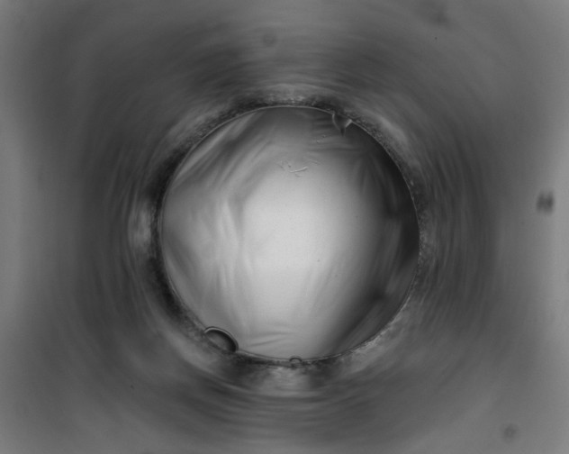 X0000100750166200807031344